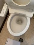 さくらエステート 大牟田店のトイレ、リトイレ、いっトイレ(笑)の施工前の写真3