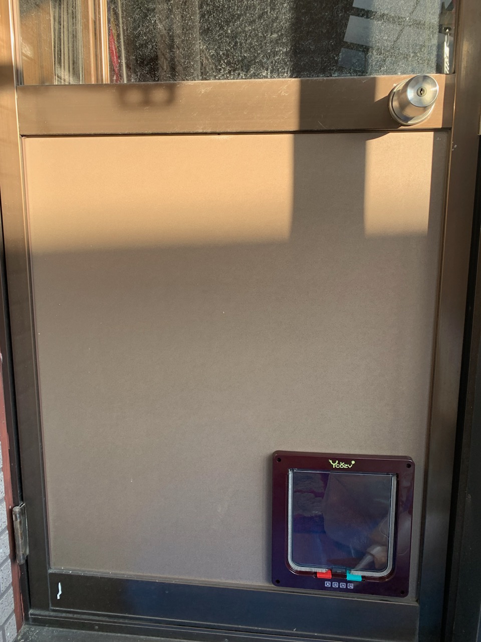 さくらエステート 大牟田店の🐺可愛い家族のために😸の施工後の写真2