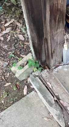 さくらエステート 大牟田店の古くなった木製引戸からサッシへの施工前の写真2