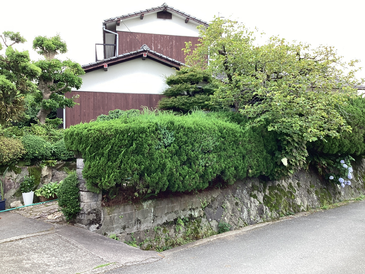 さくらエステート 大牟田店のフェンスにしちゃいました。😄の施工前の写真1