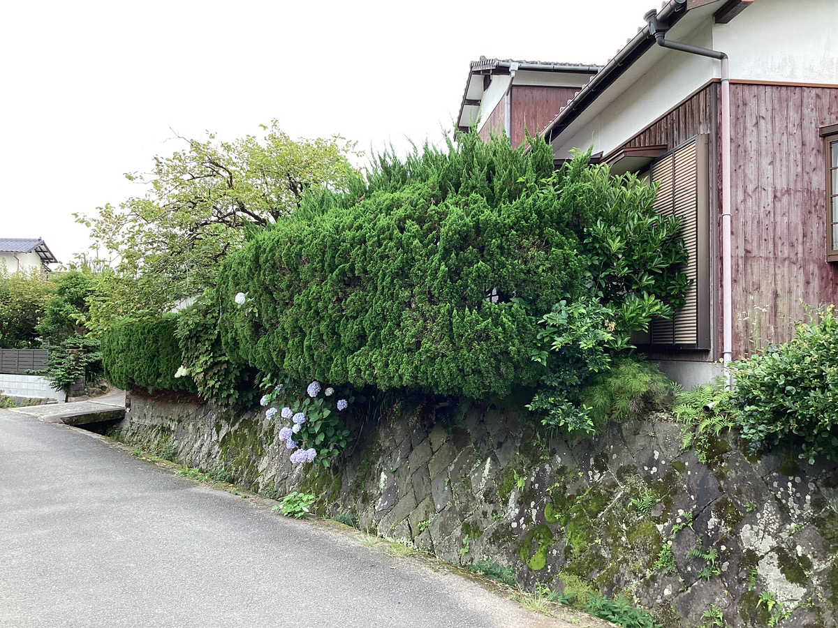 さくらエステート 大牟田店のフェンスにしちゃいました。😄の施工前の写真2