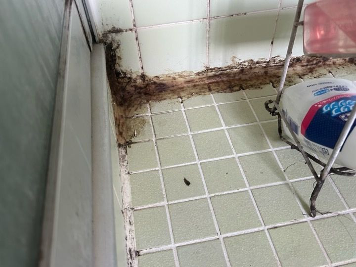 さくらエステート 大牟田店の壊さずキレイ！床が冷たい浴室を快適に！築40年の家のお風呂改善事例の施工前の写真1