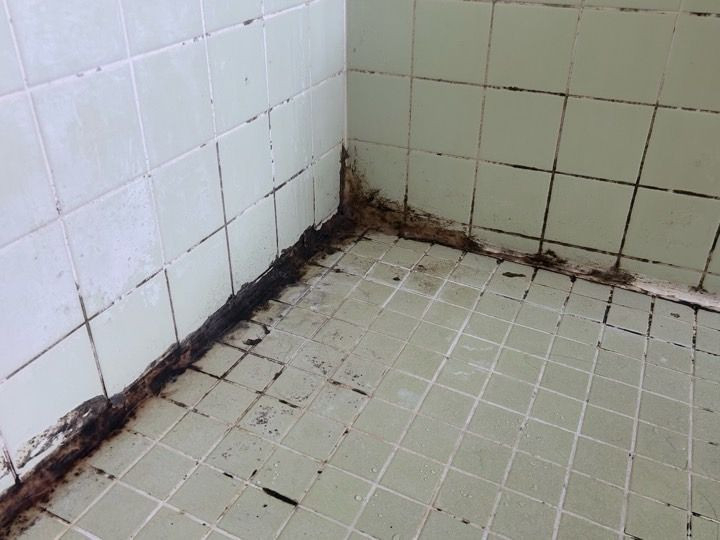 さくらエステート 大牟田店の壊さずキレイ！床が冷たい浴室を快適に！築40年の家のお風呂改善事例の施工前の写真2